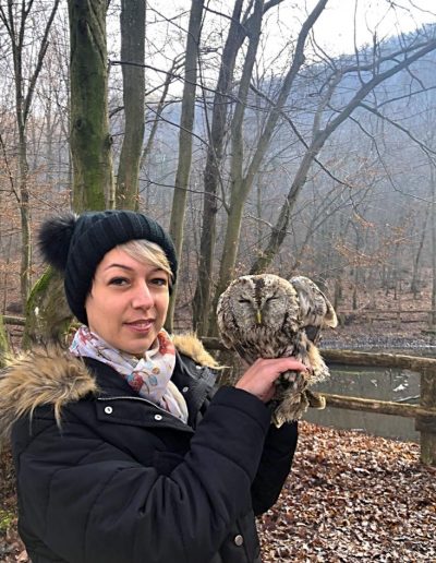 ricovero animali in provincia di Rovigo