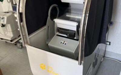 Innovativa Diagnostica per Piccoli Animali: “Mini TAC” CBCT