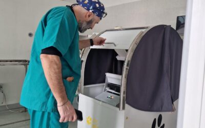MiniTAC: Diagnostica avanzata per piccoli animali ed esotici
