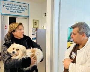 Ecografia veterinaria in provincia di Verona