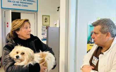Igiene orale nei cani: perché è fondamentale per la loro salute